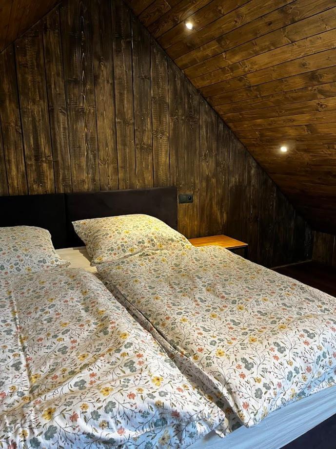 Apartmany Vlachovice エクステリア 写真